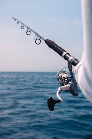 Best Fishing Rods for Bass Fishing: The Ultimate Guide